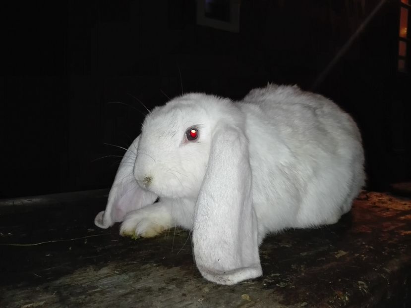 Copie IMG_20160927_203326