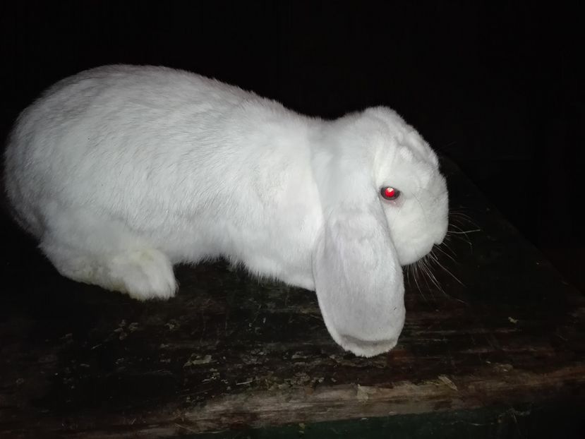 Copie IMG_20160927_203913