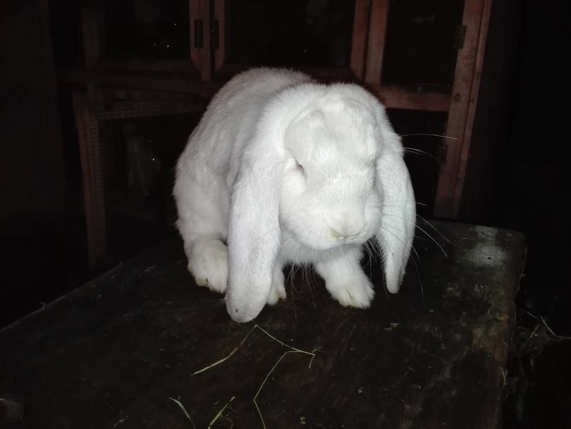 Copie IMG_20160927_204052