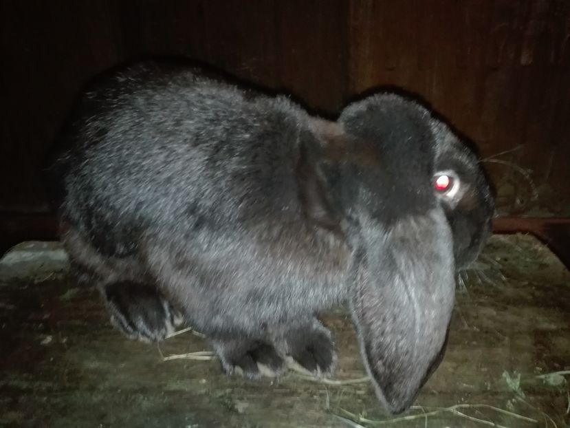 Copie IMG_20160927_204301