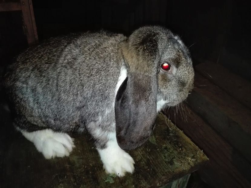 Copie IMG_20160927_204716