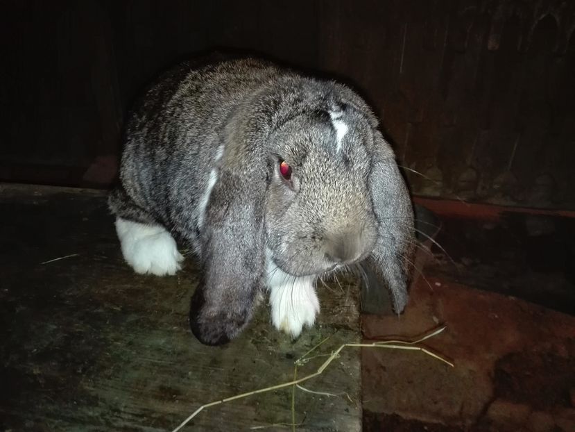 Copie IMG_20160927_204725