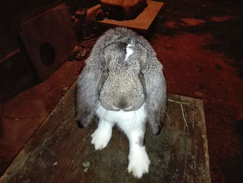 Copie IMG_20160927_204746