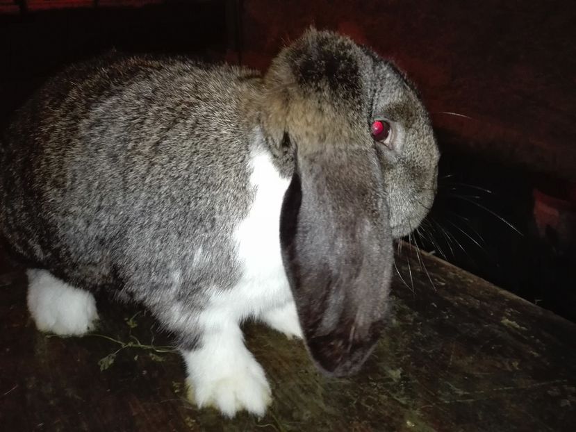 Copie IMG_20160927_204801