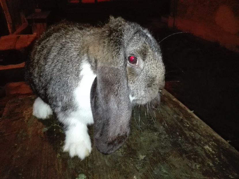 Copie IMG_20160927_204805