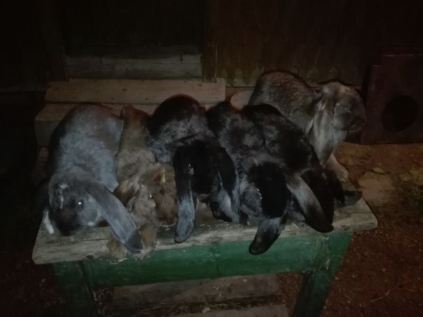 Copie IMG_20160927_205135