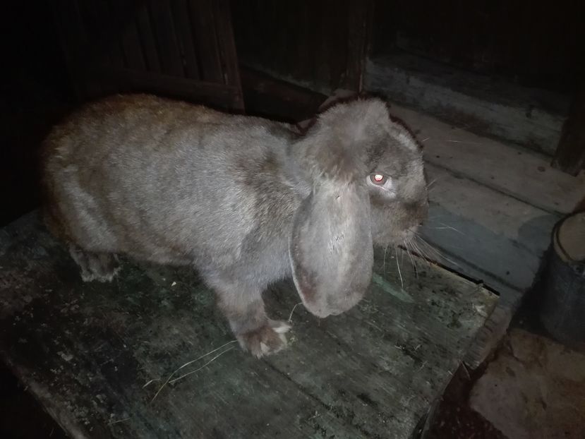 Copie IMG_20160927_205629