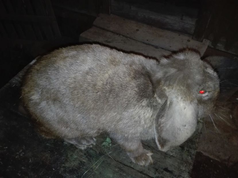 Copie IMG_20160927_205653