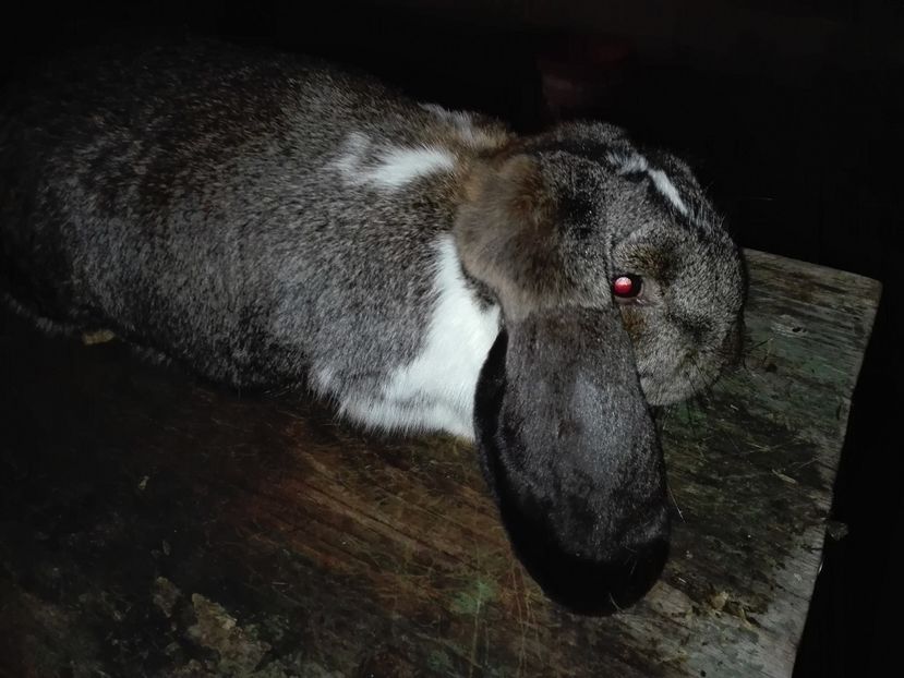 Copie IMG_20160927_211308