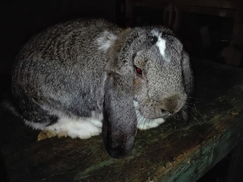 Copie IMG_20160927_211337