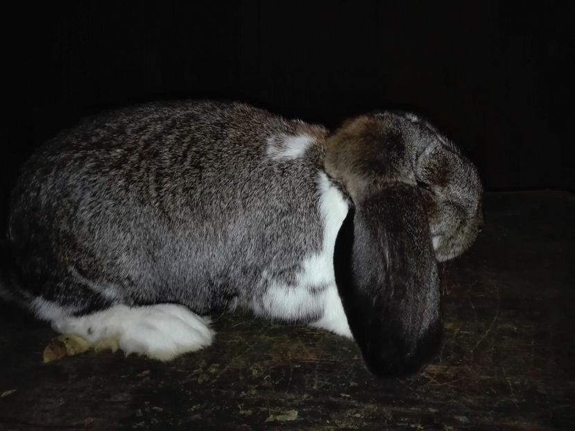 Copie IMG_20160927_211417