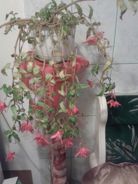  - TOAMNA  IN BALCONUL MEU