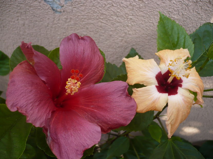 P1300175