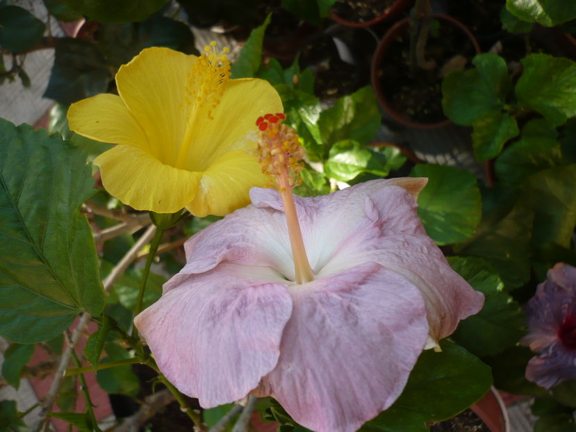 P1300212