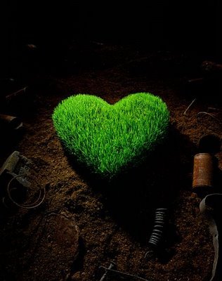 green-heart - inimi