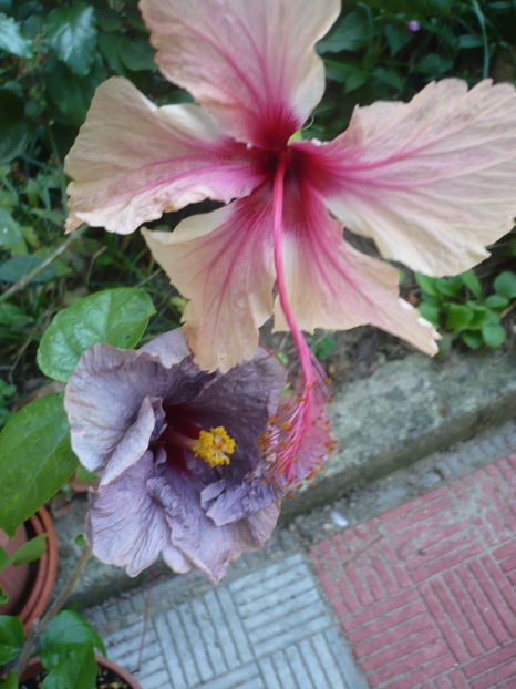 P1300240
