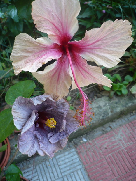 P1300241