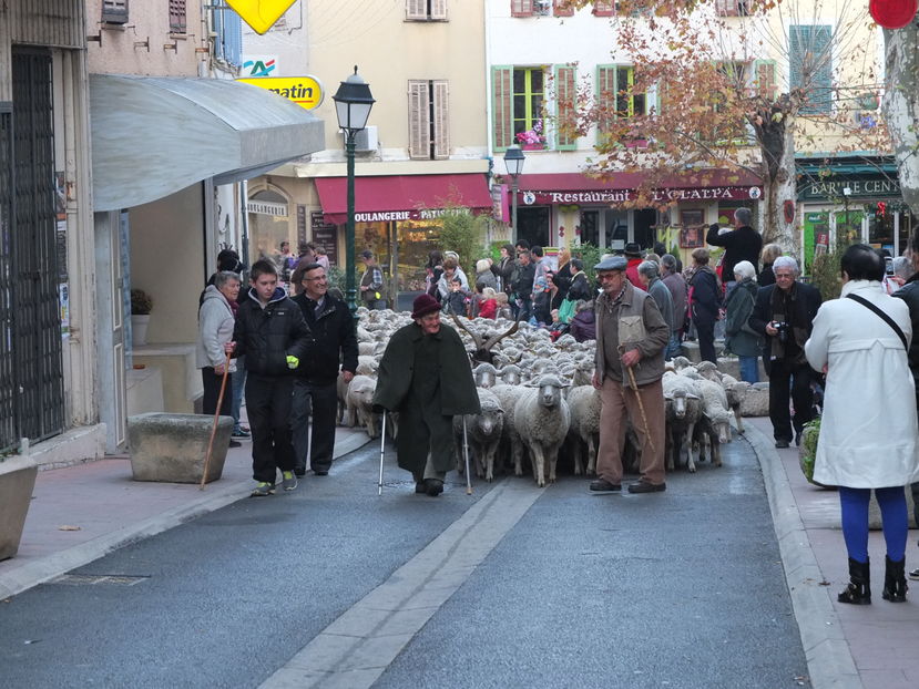 Prin oras cu turma-pu87