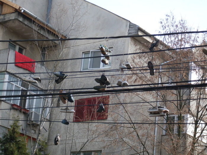 SDC12113; adidasi cred ca se observa
