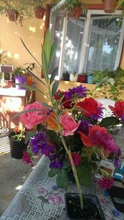 l2 - VAND LEANDRII 2017