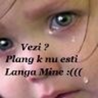 vezi plang