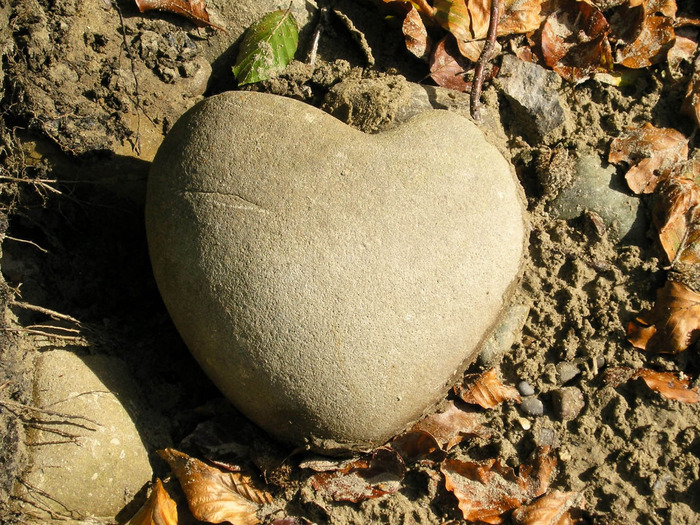 Love%20Desktop%20Ranch - inimi