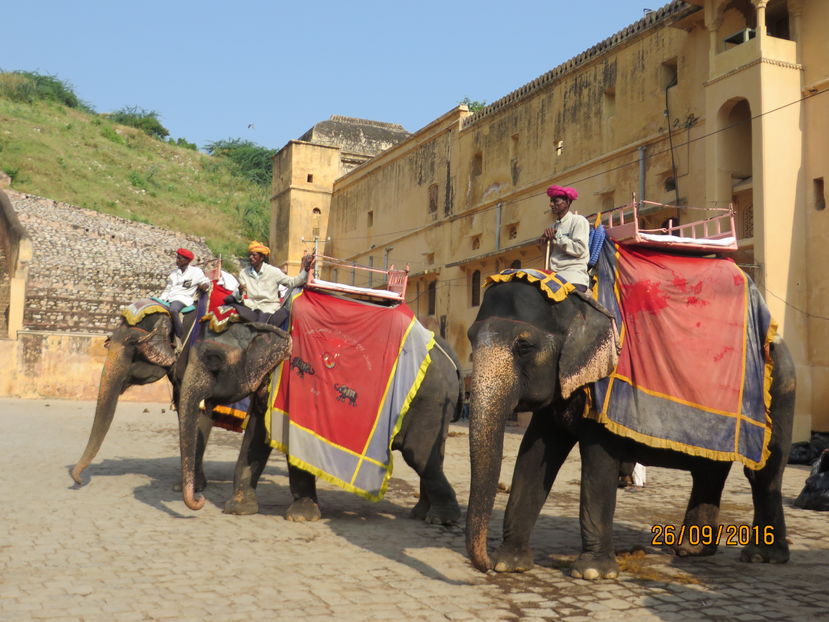  - India 2016