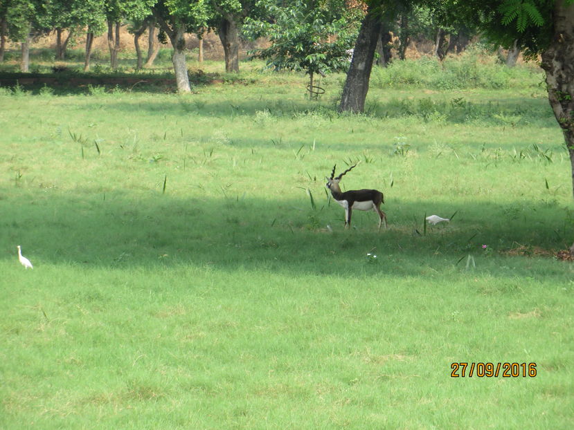  - India 2