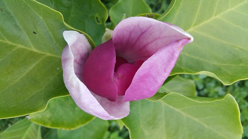 14455918_1392457950782969_1730236303_o