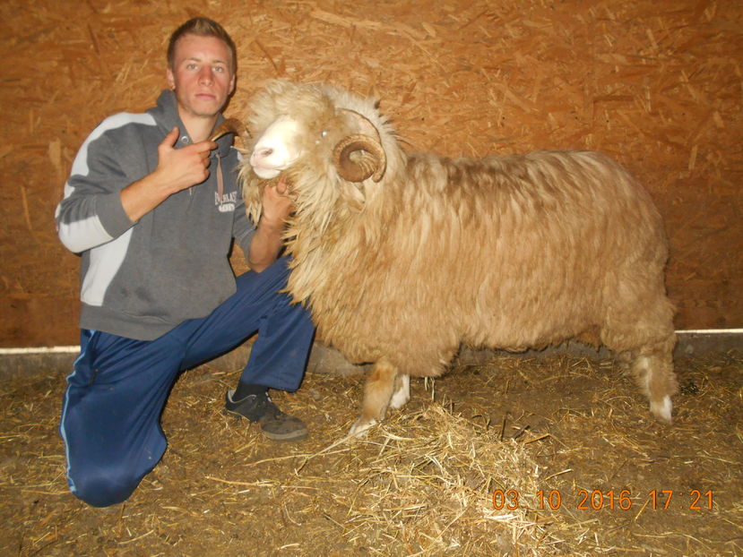 Picture 815 - Berbeci 2016-2017