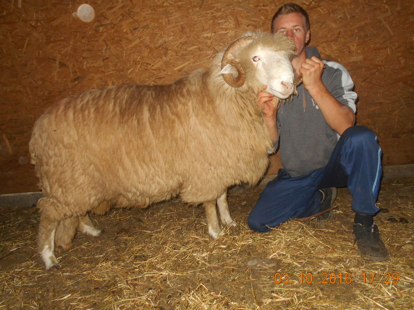 Picture 835 - Berbeci 2016-2017