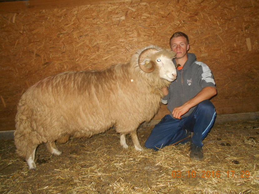 Picture 836 - Berbeci 2016-2017