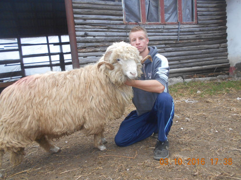 Picture 857 - Berbeci 2016-2017