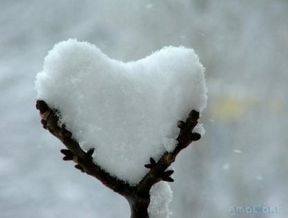 snow_heart_ulyv - inimi