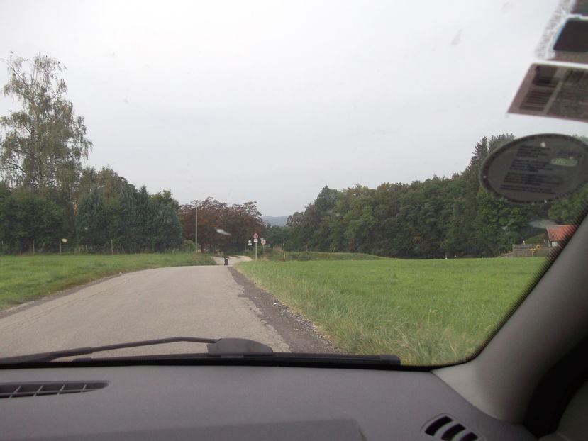 drumul de coborare spre lacul Starnberg - O saptamana in Germania