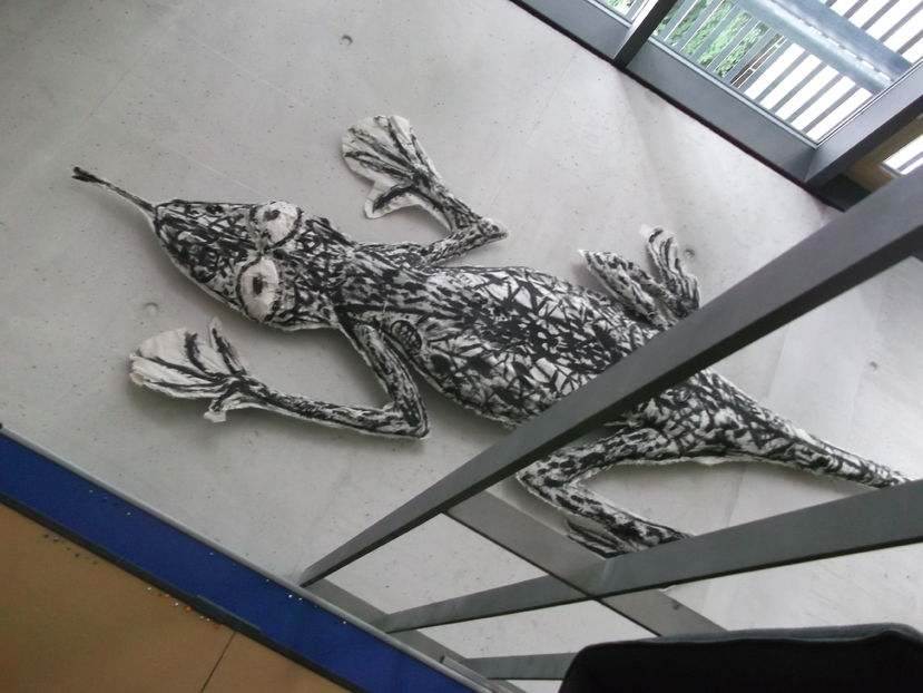 imagini din interiorul scolii de arte