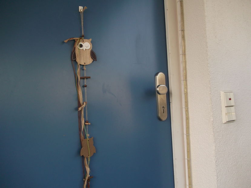 intrarea in locuinta...:))