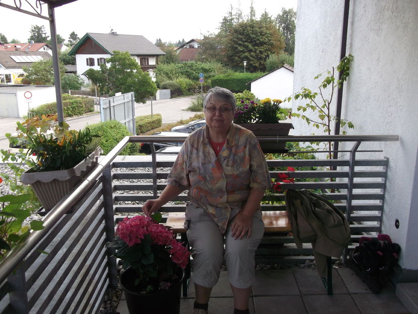 cu hortensia lui Paul