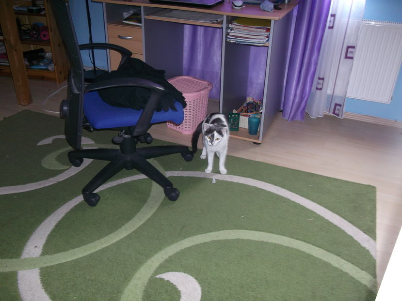 Zuluf in camera lui Paula