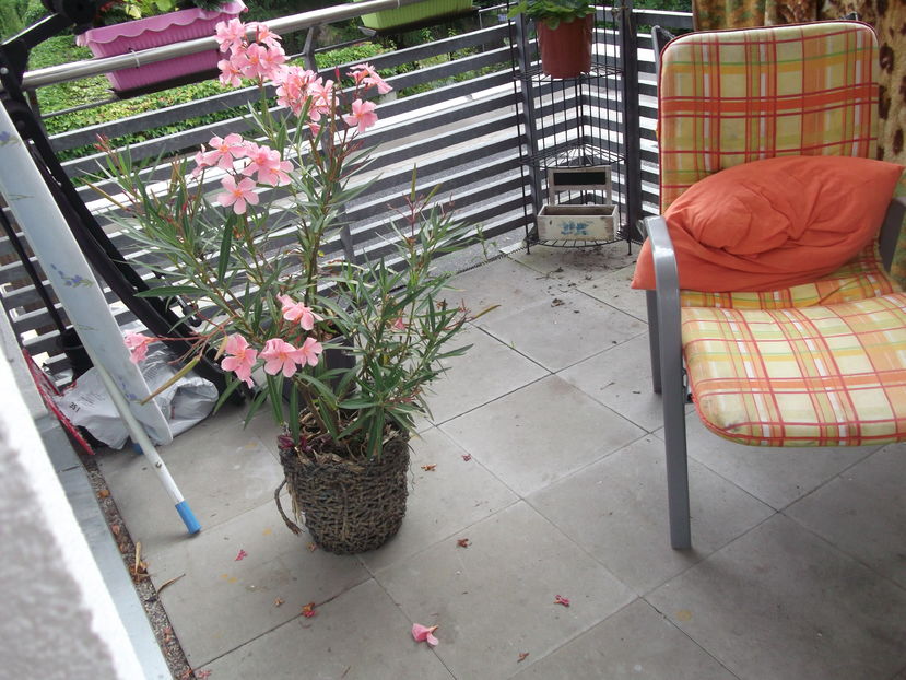 un leandru curajos...:))