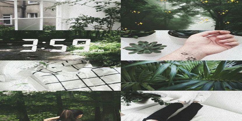 Green-natural-themed aesthetic collage for- A R I E S - be kindhearted like an ARIES