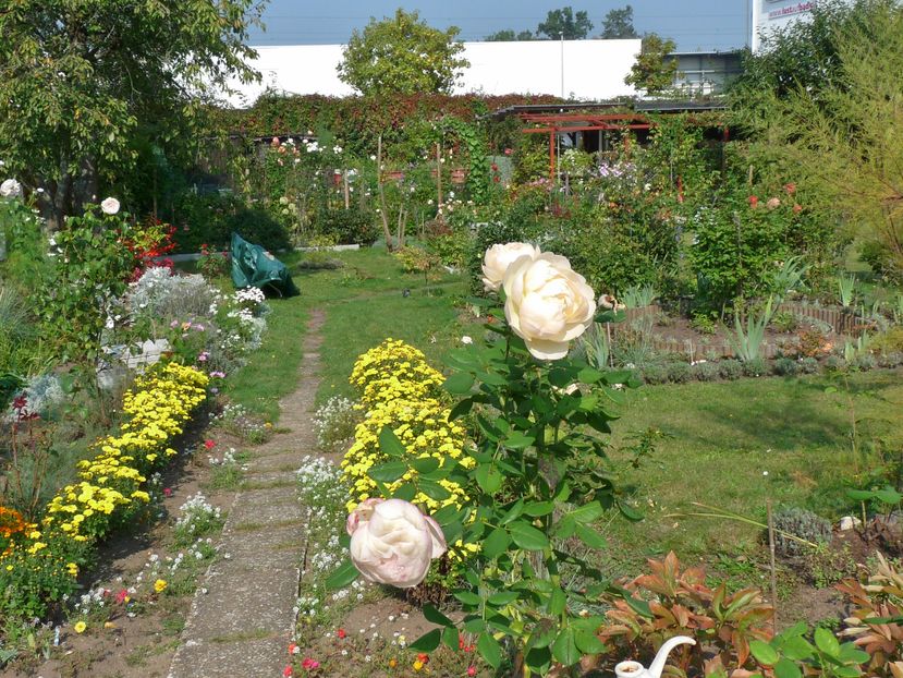 P2020594 - 2016 - 03 - Toamna