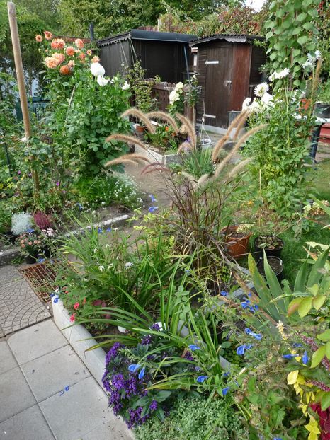 P2020880 - 2016 - 03 - Toamna