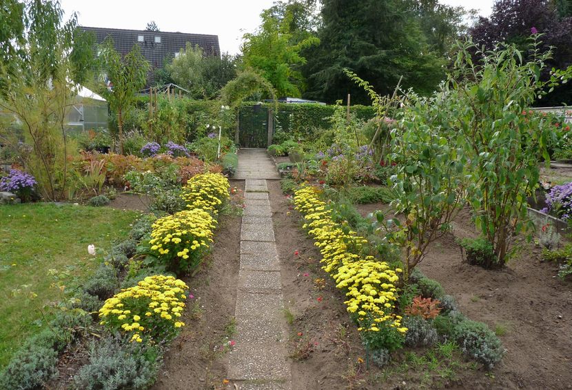 P2020939 - 2016 - 03 - Toamna