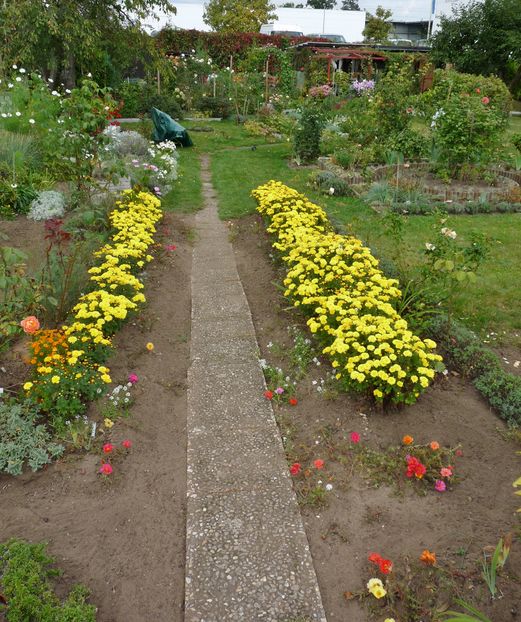 P2020946 - 2016 - 03 - Toamna