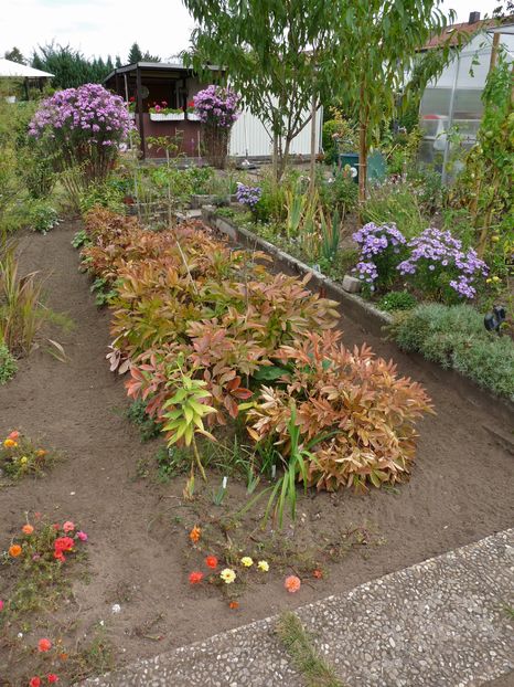  - 2016 - 03 - Toamna