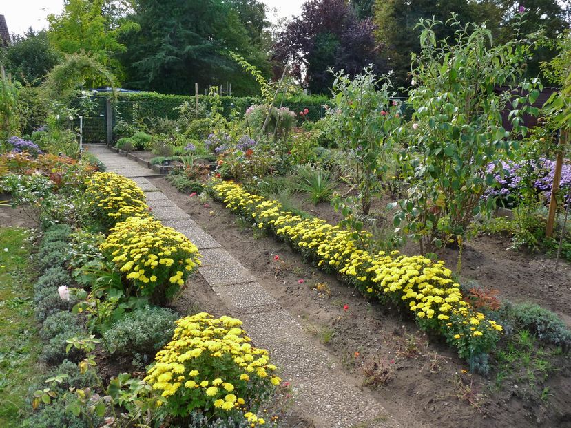 P2030058 - 2016 - 03 - Toamna