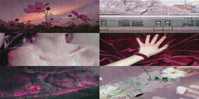 rose-purple-ish-pastel collage for C A N C E R