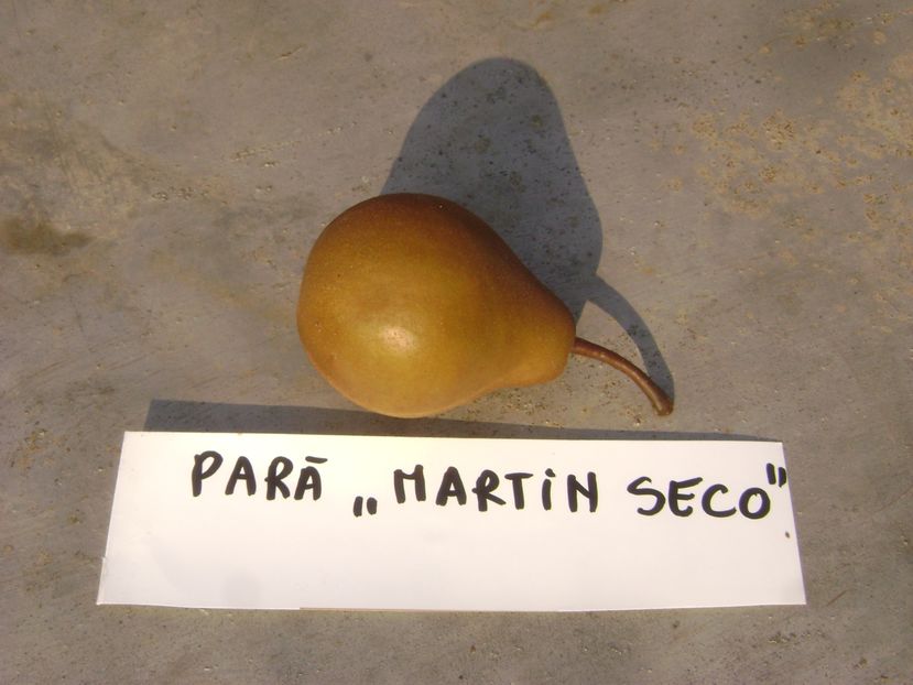 Para Martin Seco; Para Martin Seco
