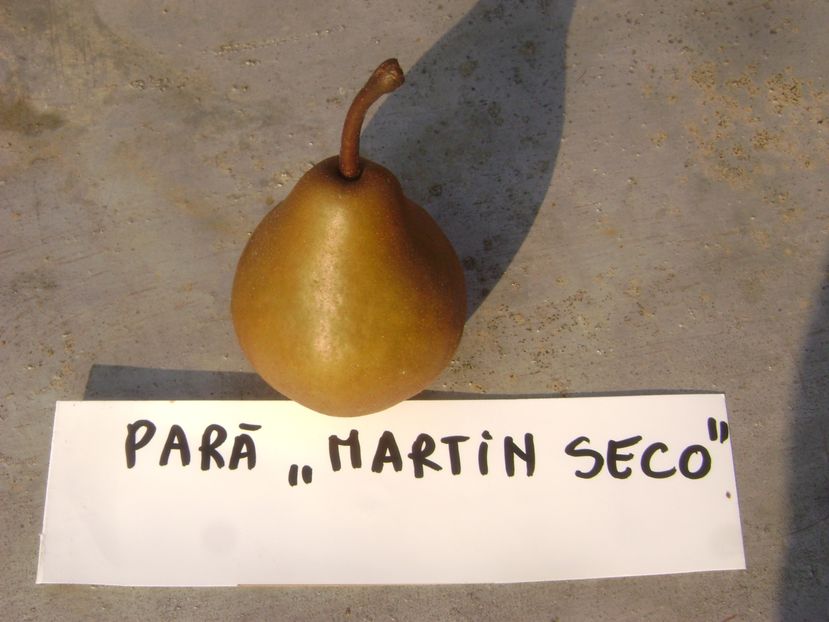 Para Martin Seco 1 - Par Martin Seco